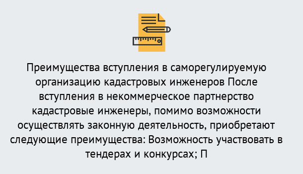 Почему нужно обратиться к нам? Воскресенск Что дает допуск СРО кадастровых инженеров?