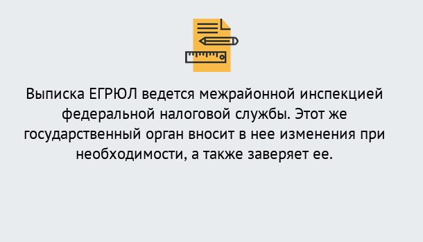 Почему нужно обратиться к нам? Воскресенск Выписка ЕГРЮЛ в Воскресенск ?