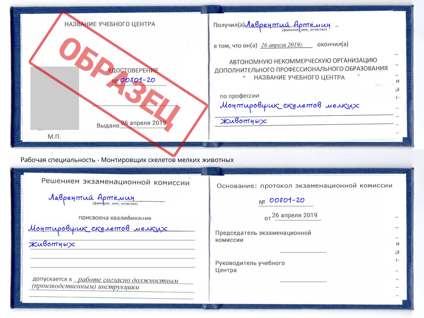 Монтировщик скелетов мелких животных Воскресенск