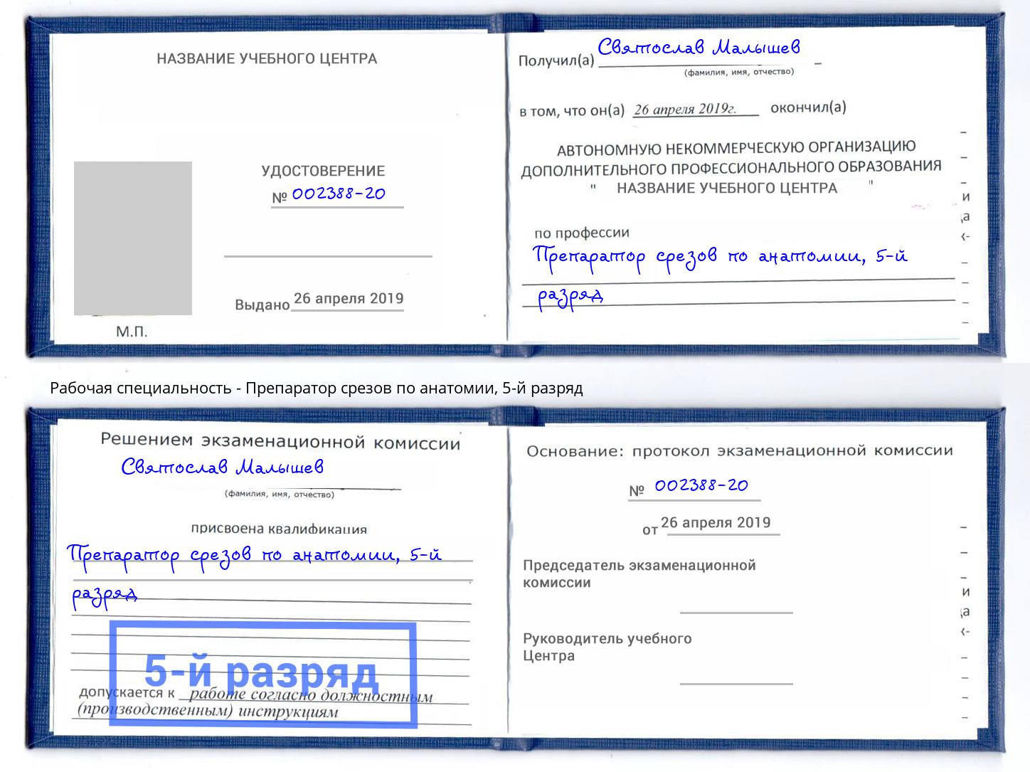 корочка 5-й разряд Препаратор срезов по анатомии Воскресенск